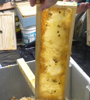 Extruded frame with comb.